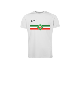 Nike Park VIII Trikot Kids Weiß F100
