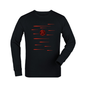 Merch Roller Sweatshirt Black | #lines