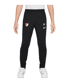 Nike Park 20 Trainingshose Kids Schwarz F010