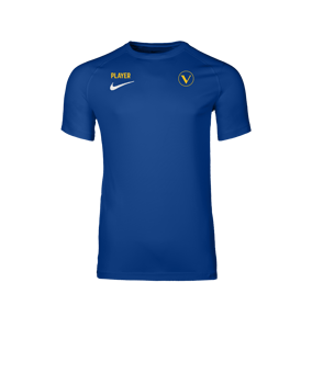 Nike Park VIII Trikot Blau F463