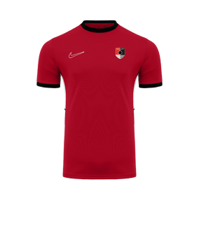 Maillot homme Academy 25 Nike rouge