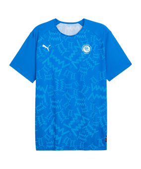 PUMA Teamjaws Graphic Ss Shooting Hemd Blau F07