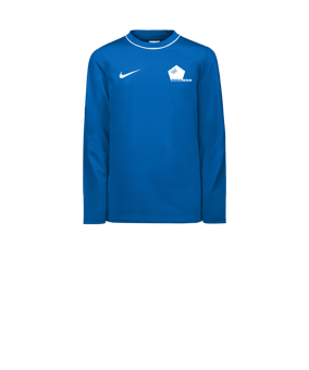 Nike Park 26 Sweatshirt Kids Blau F463
