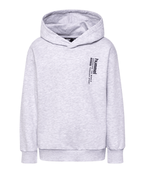 Hummel Dante Hoody Kids Grau F1168 - grau