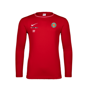 Nike Park 26 Longsleeve Rot F657