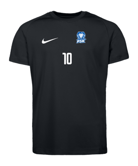 Nike Park VIII Trikot Kids Schwarz F010