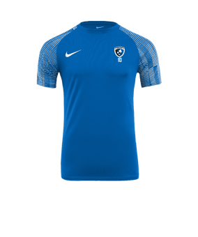 Maillot Nike Academy bleu blanc F463 
