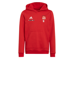 adidas Entrada 22 Hoody Kids Rot