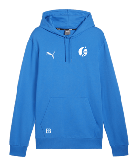 PUMA teamGOAL Casuals Hoody Blau F02