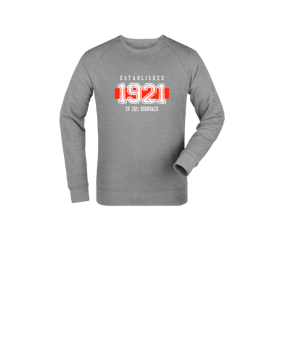 Merch Mini Changer 2.0 Sweatshirt Kids Heather Grey | #established