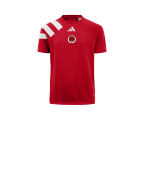 Maillot adidas Fortore 23 enfants rouge blanc 