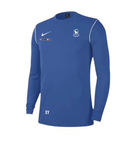 Nike Park 20 Sweatshirt Blau Weiss F463