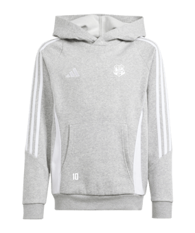 adidas Tiro 24 Hoody Kids Grau Weiss