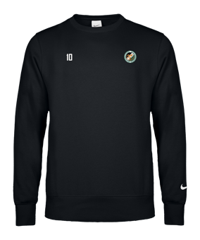 Nike Park 26 Sweatshirt Kids Schwarz F010