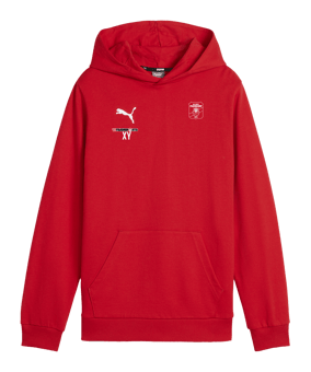 PUMA teamGOAL Casuals Hoody Kids Rot F01