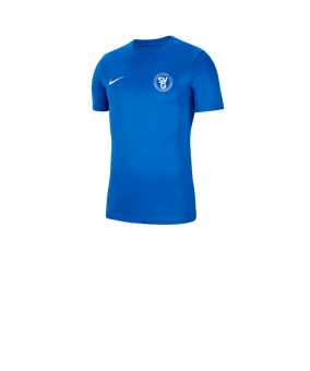 Nike Park VII Trikot kurzarm Kids Blau F463