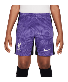 Nike FC Liverpool Short 3rd 2023/2024 Kids F567 - lila