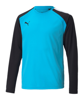 PUMA teamPACER Torwarttrikot langarm Kids F40 - blau
