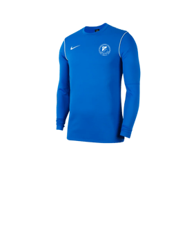 Nike Park 20 Sweatshirt Kids Blau F463