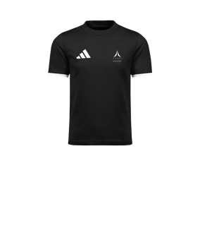 adidas Entrada 26 T-Shirt Enfants Noir 