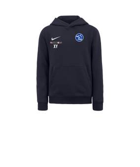 Nike Park 20 Fleece Hoody Kids Blau Weiss F451