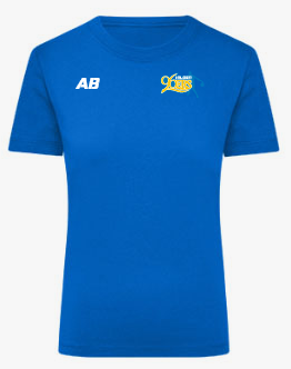 Nike Park 20 T-Shirt Damen Blau Weiss F463