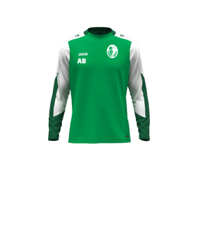 JAKO Dynamic Sweatshirt Kids Grün F204