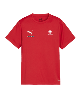 PUMA teamGOAL Trikot Kids Rot F01
