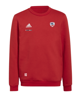 adidas Entrada 22 Sweatshirt Kids Rot