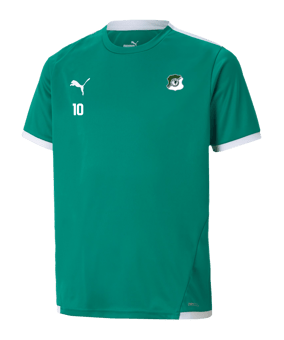 PUMA teamLIGA Trikot Kids Grün F05