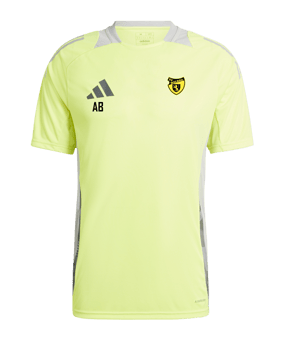 adidas Tiro 24 Competition Training Trikot Gelb Grau