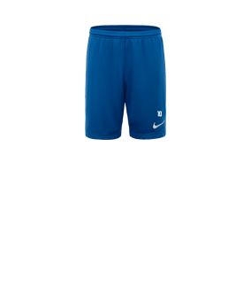 Nike Park III Court Enfants Bleu C463 