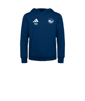 adidas Entrada 26 Hoody Kids Blau