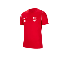 Nike Park 20 T-Shirt Kids Rot F657