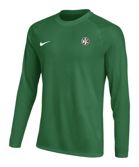 Nike Park VIII Trikot langarm Grün F302