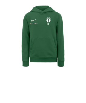 Nike Park 20 Fleece Hoody Kids Grün Weiss F302