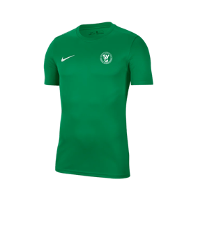 Nike Park VII Trikot kurzarm Grün F302