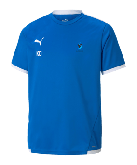 PUMA teamLIGA Trikot Kinder Blau F02