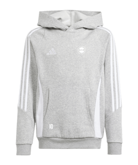 adidas Tiro 24 Hoody Kids Grau Weiss