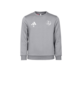 adidas Entrada 26 Sweatshirt Enfants Gris 