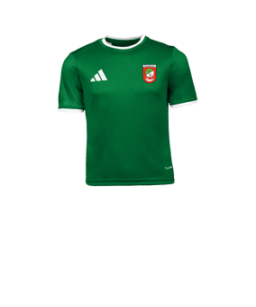 adidas Entrada 26 Trikot Kids Grün