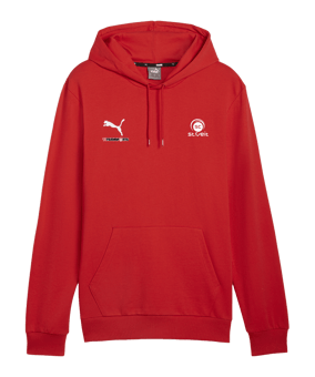 PUMA teamGOAL Casuals Hoody Rot F01