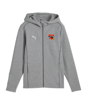 PUMA teamFINAL Casuals Kapuzenjacke Grau F33