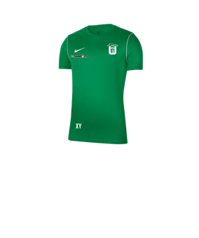 Nike Park 20 T-Shirt Kids Grün F302