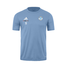 adidas Tabela 23 Trikot Hellblau Weiss