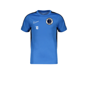 Nike Academy Trainingsshirt Kids Blau F463