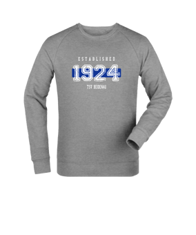 Merch Roller Sweatshirt Heather Grey FC250