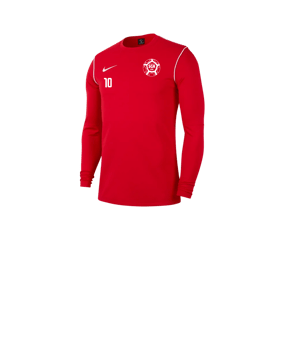Nike Park 20 Sweatshirt Kids Rot F657