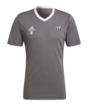 adidas Entrada 22 Trikot Grau Weiss