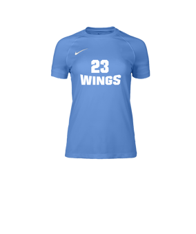 Nike Park VIII Trikot Damen Blau F412